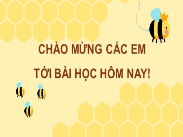 Bài giảng Toán Lớp 7 (Sách Kết nối tri thức) - Luyện tập chung (Trang 3) - Năm học 2022-2023